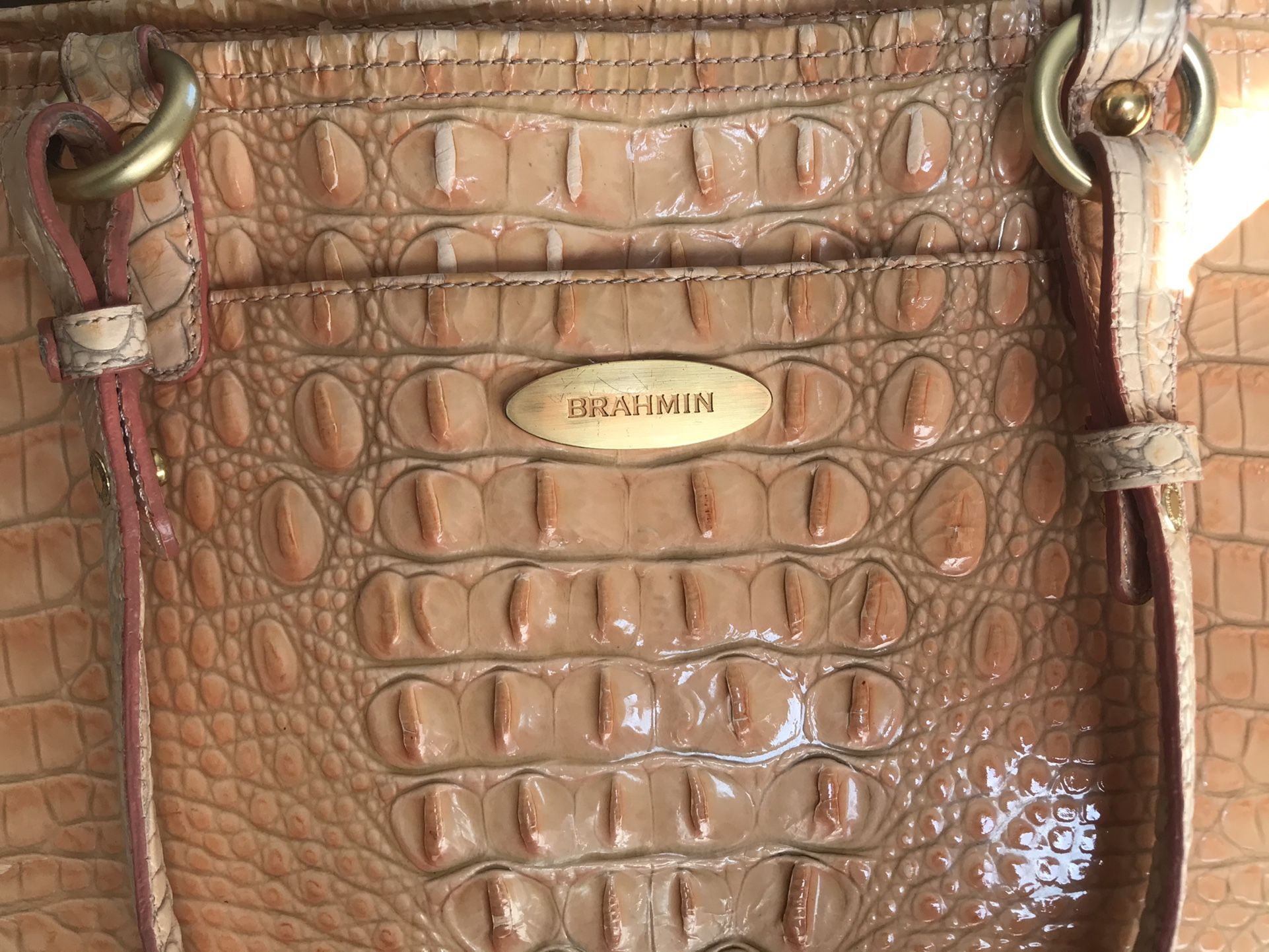 Brahmin Bag