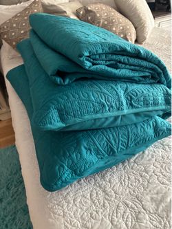 King size bedspread and pillow shams with king-size pillows, all for $20