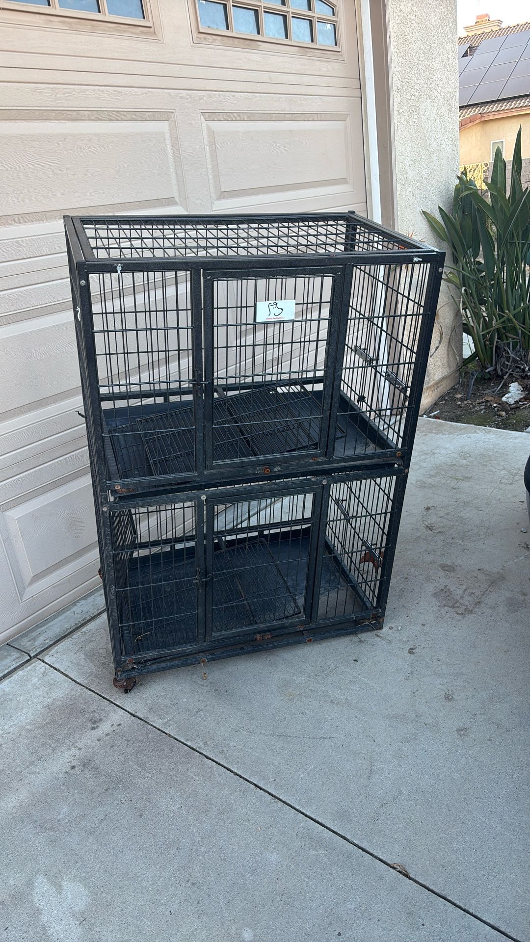 Dog Kennel