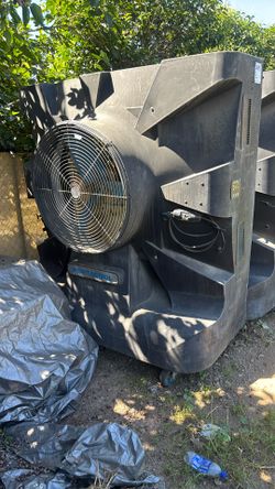 Fan