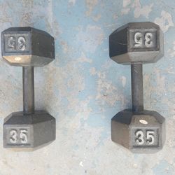 35 Pound Dumbbells 