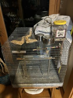 Bird Cage