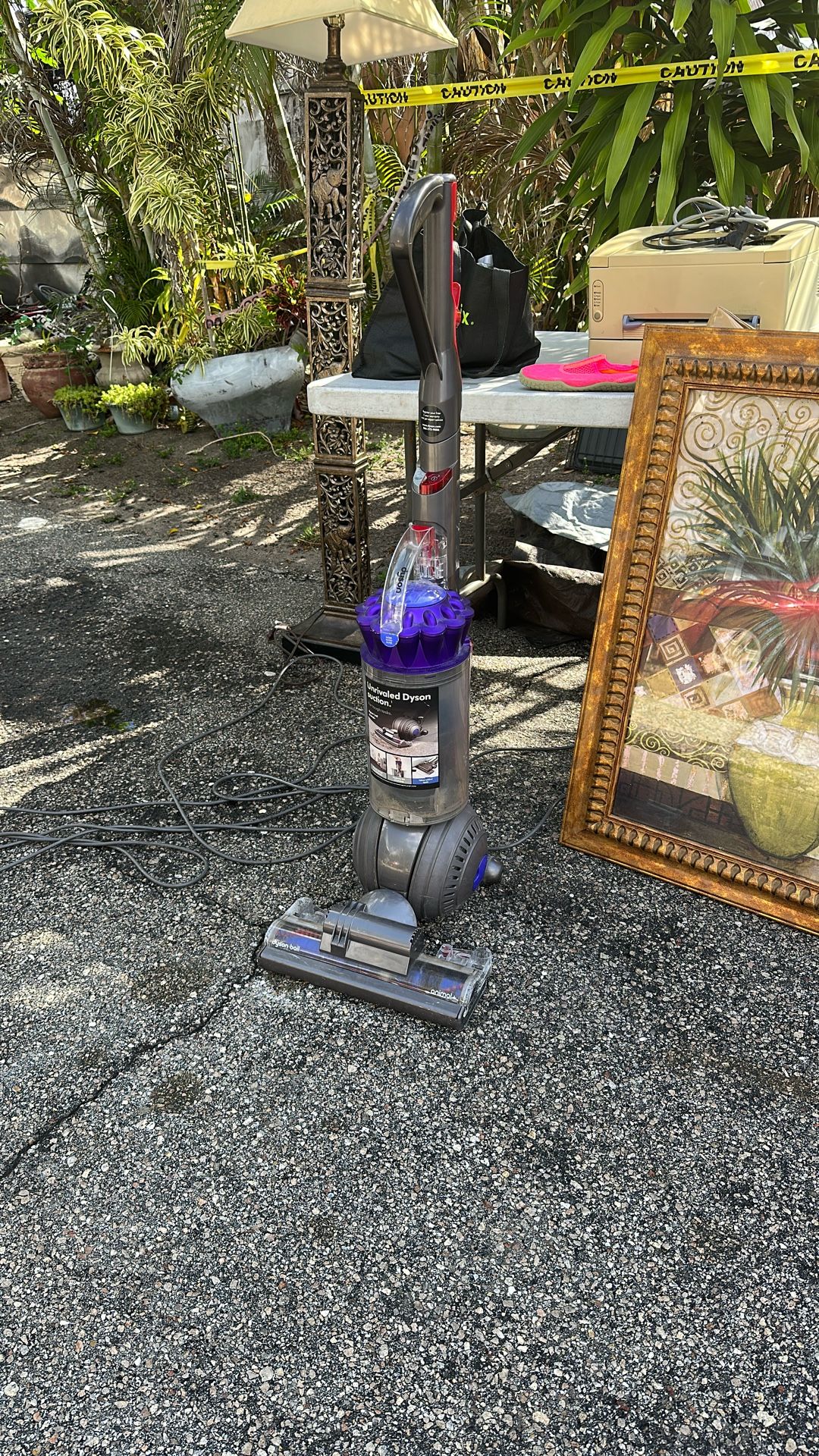 Dyson Ball Animal Plus Vacuum