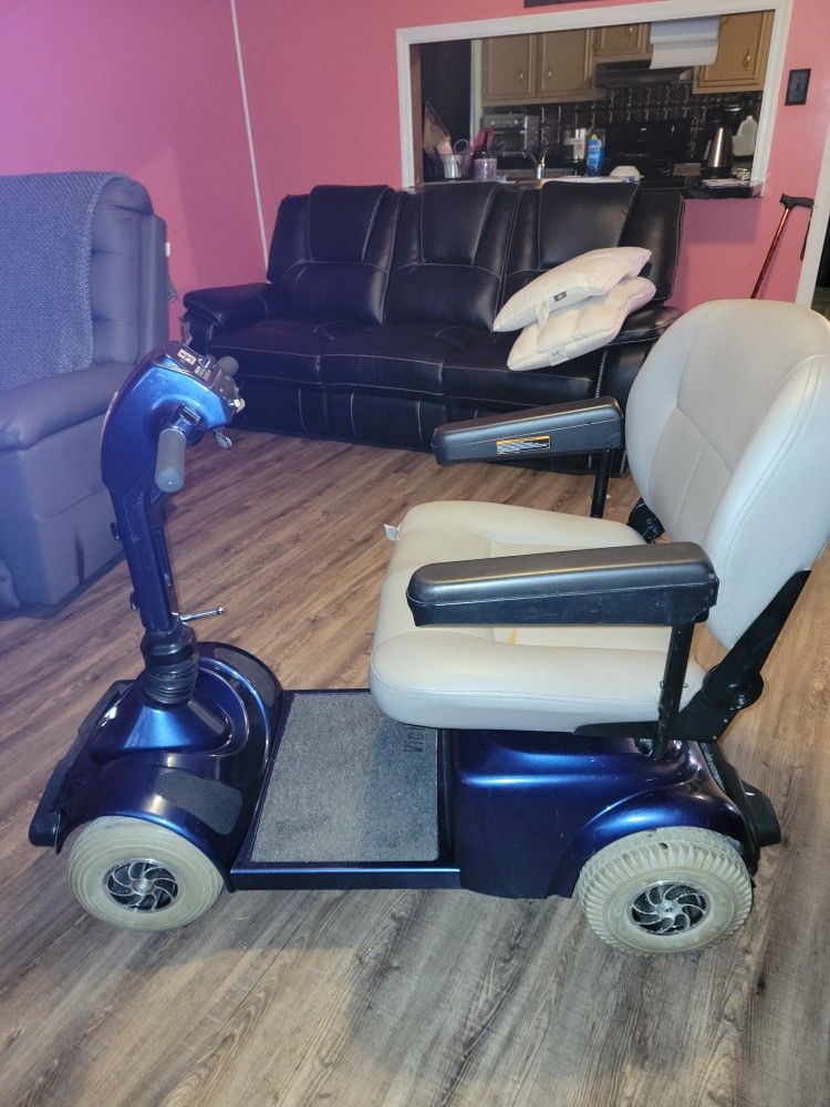 Heavy Duty Scooter
