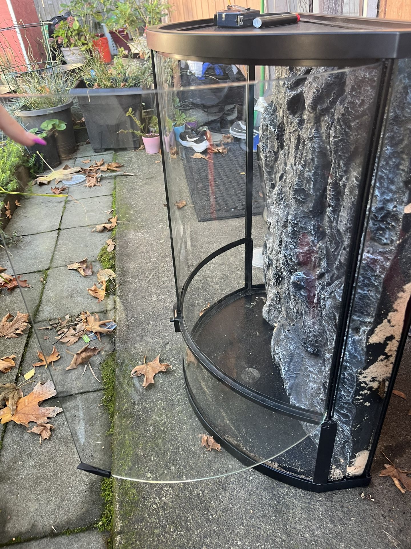Lizard Cage