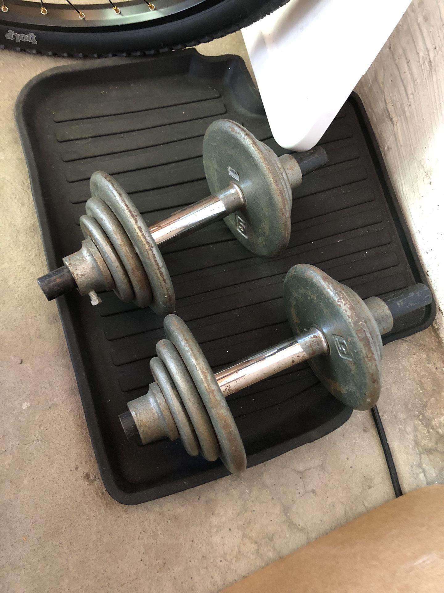 Dumbbells / Free Weights