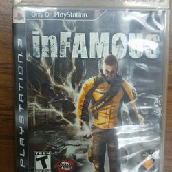 Infamous The Game 