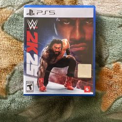 PS5 - WWE2K25 (Great condition)