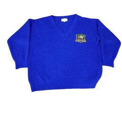 Vintage V-neck Sweater $20 (Good Condition) Size Xl Fits As Large