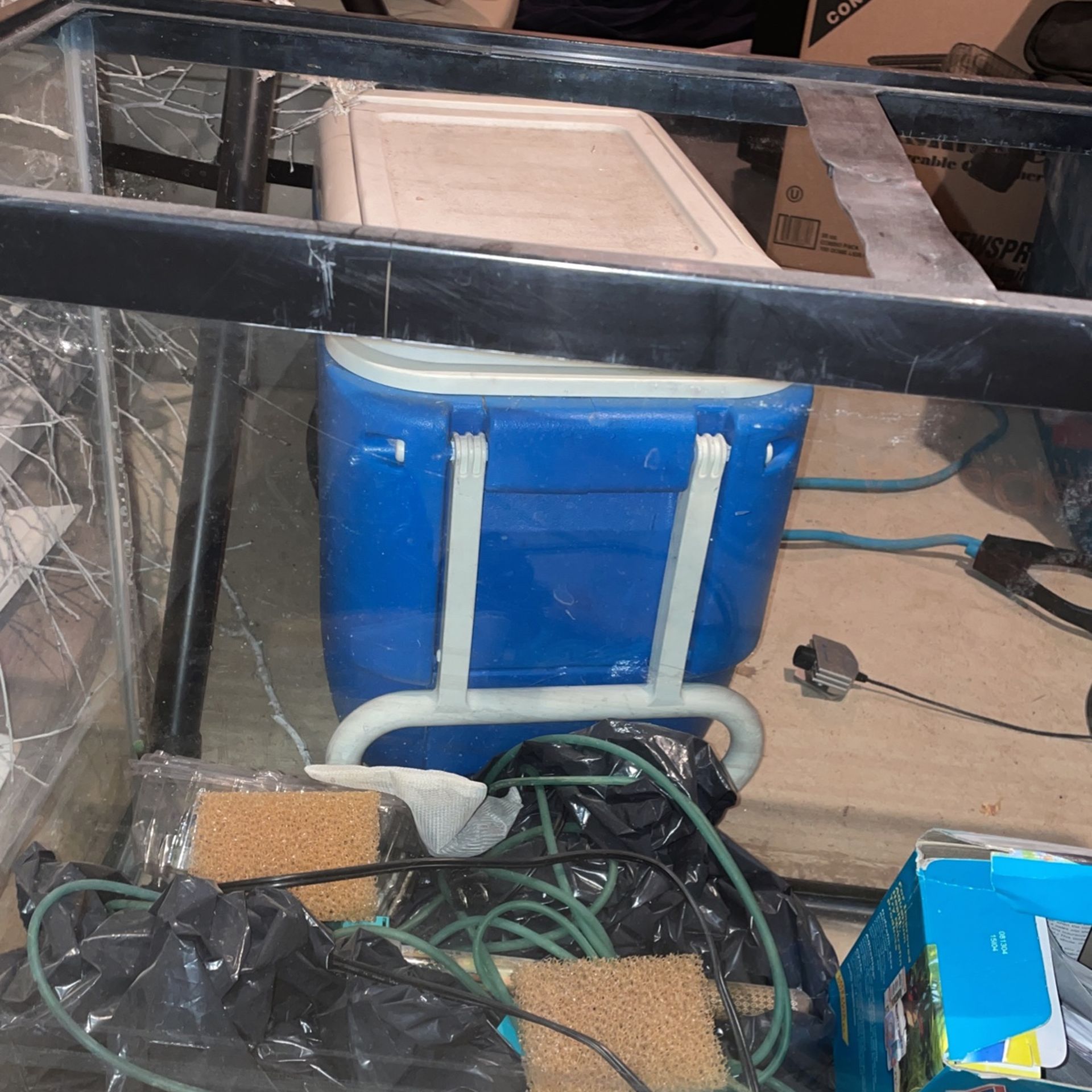 30 Inch Fish tank