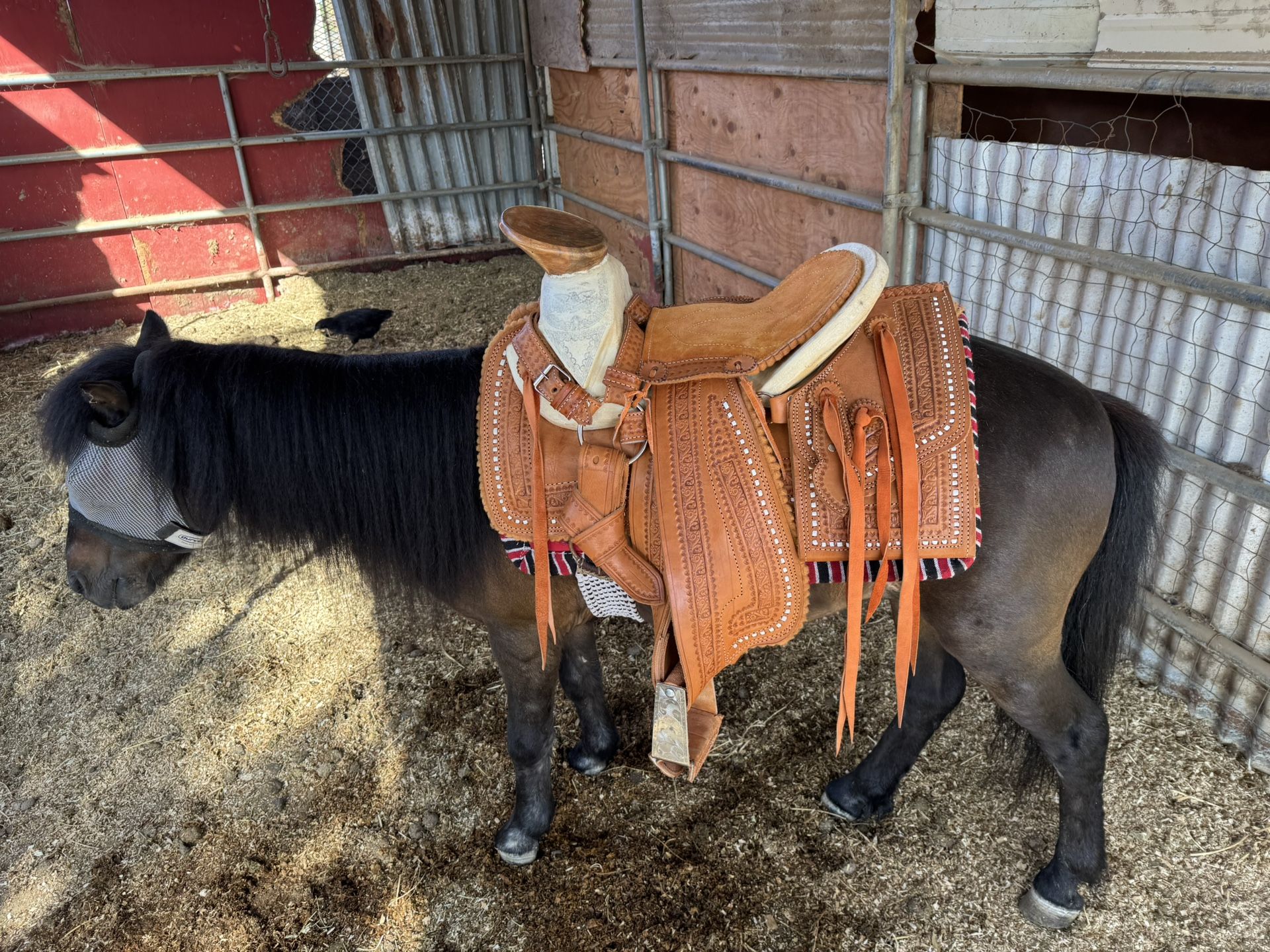 Charros Saddle