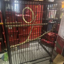 bird cage