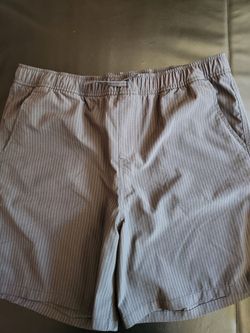 Cat & Jack XXL 16/18 Husky shorts