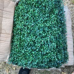 Party Background Display