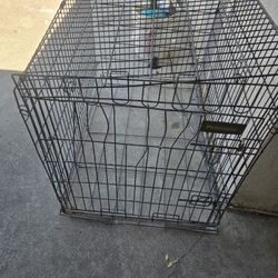 30 in By 26 in Cage
