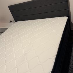 Kind Size Platform bed frame 