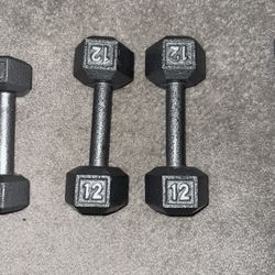 12lb Dumbbell Set
