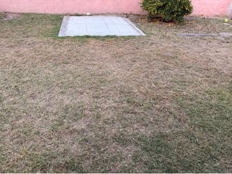 Lawn