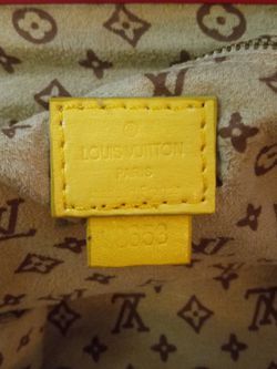 Louis Vuitton Purse Neon Noir Motard Firebird Bag for Sale in