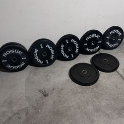 ROGUE WORKOUT EQUIPMENT 
