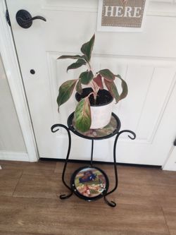 Plant stands Tier light weight metal