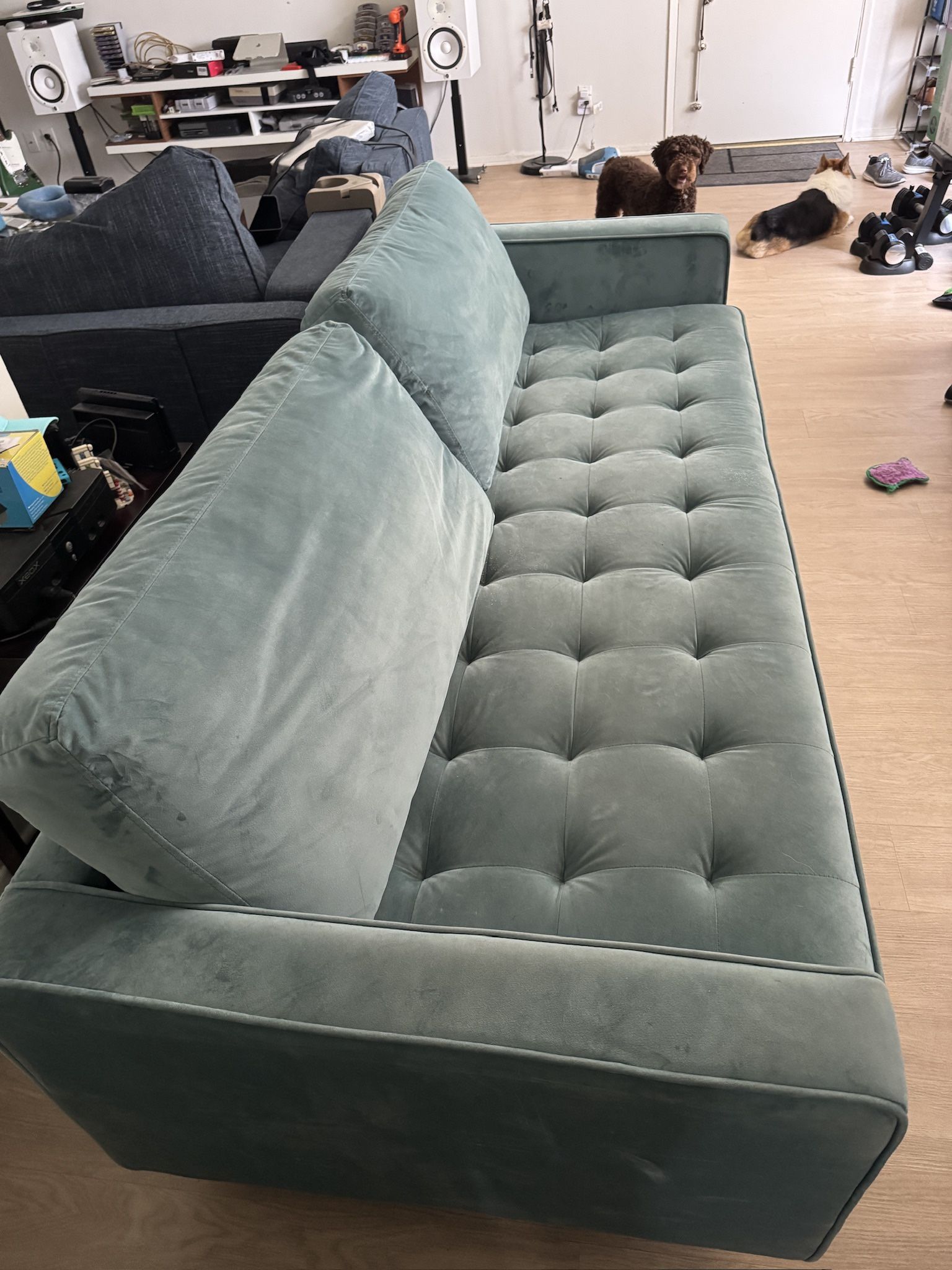 Wayfair Couch