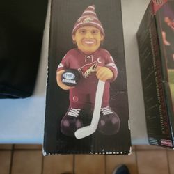 Arizona Bobbleheads. Suns Dbacks  Coyotes 