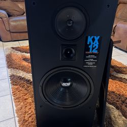 DCW Speaker 250 Watts 