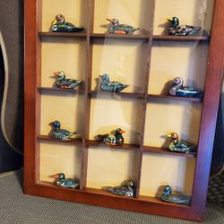 Miniature Duck Collection 