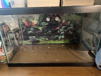 10 Gallon Tank