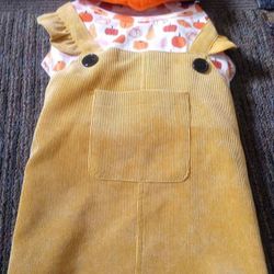 Pet Halloween 🎃 Costume Out Fit