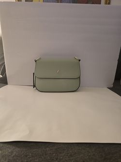 Vanessa Williams purse