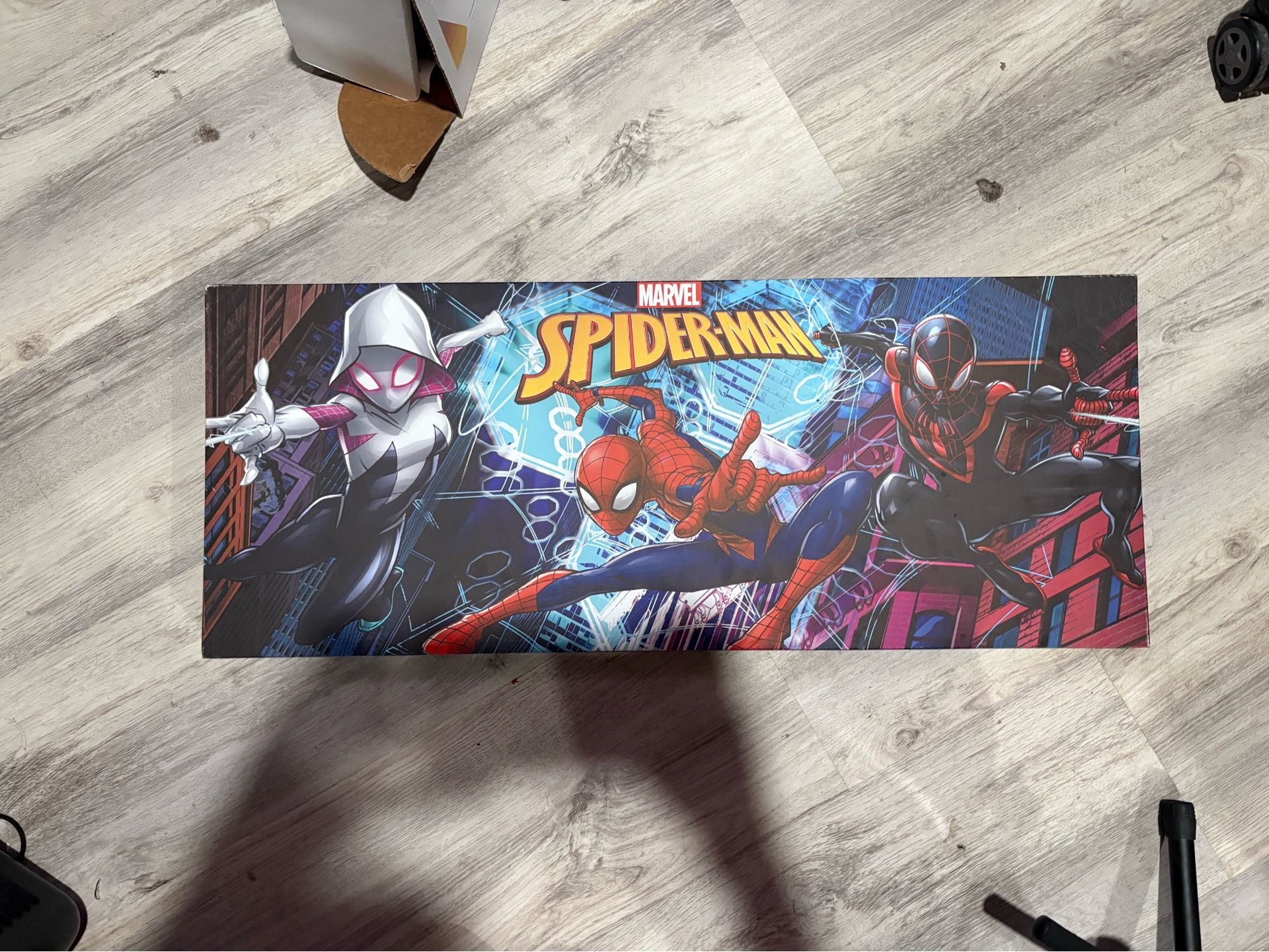Spiderman picture