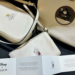 Disney X Coach Bage