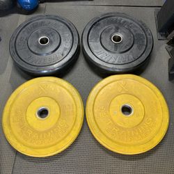 Bumper Weights Set