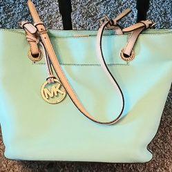 Mint Color Micheal Kors Bag