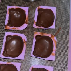 Hello Kitty Chocolates Mold 
