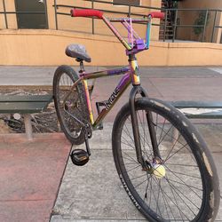 Throne 29er bike