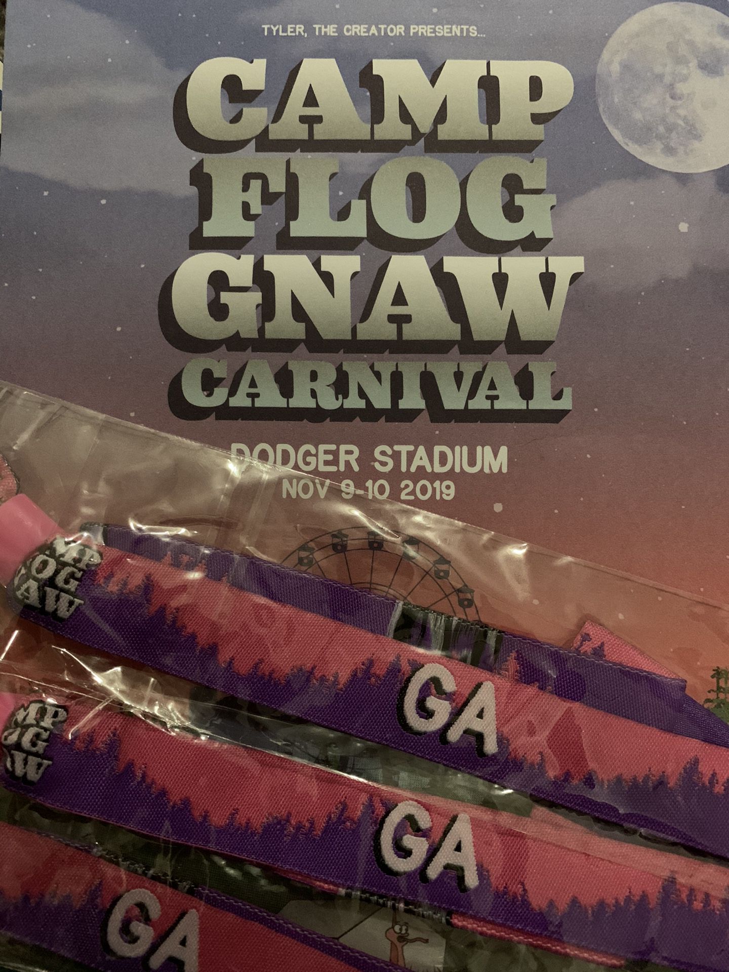 Camp Flog Gnaw 2019 - 1 GA Wristband