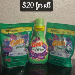 Gain Flings 31 Count (62 Total) Bundle 