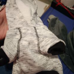 Small Sweatshirt For Doggy 🐕 