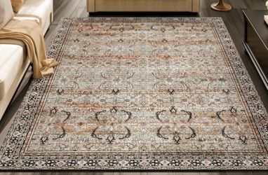 Area Rug