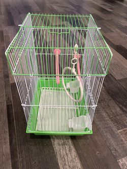 Small Birdcage With baby and regular parakeet food