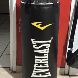 Everlast Punching Bag 40-50 Lbs