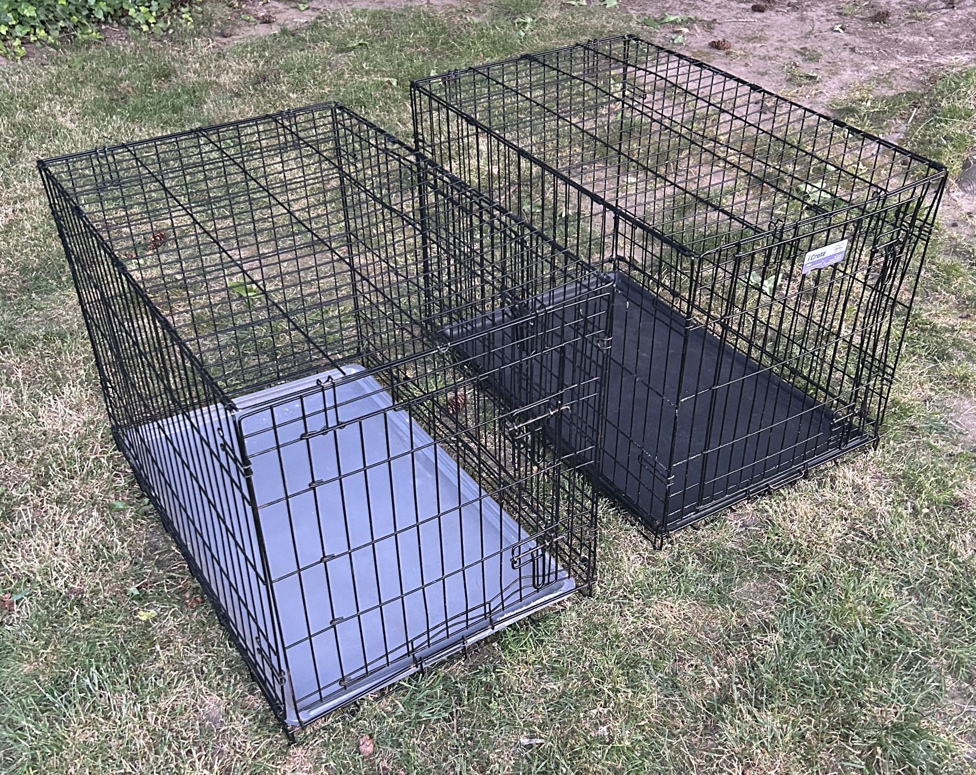 Dog Kennels