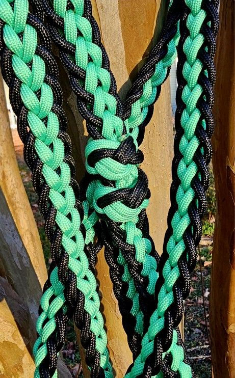 Hand Braided Dog Leash