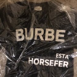 Burberry Shirt 