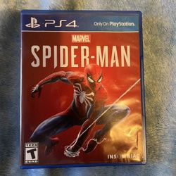 Spider-Man Video Game