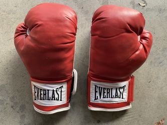 Boxing Gloves Everlast