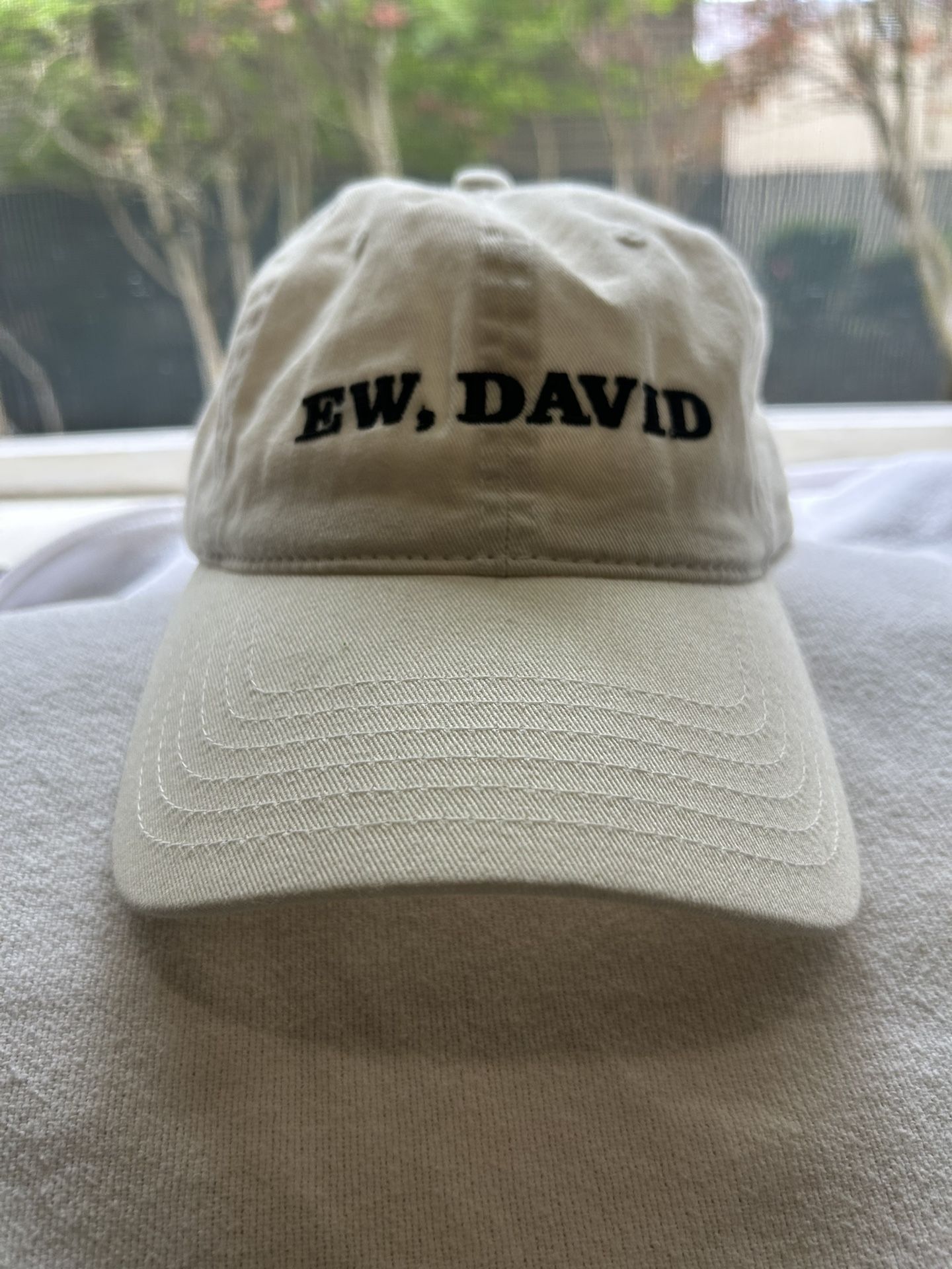 Brand New “ew David” Hat